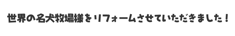 イメージ　BEFORE AFTER